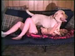 The owner and his lustful Mexzoo pet are having sex on the couch.